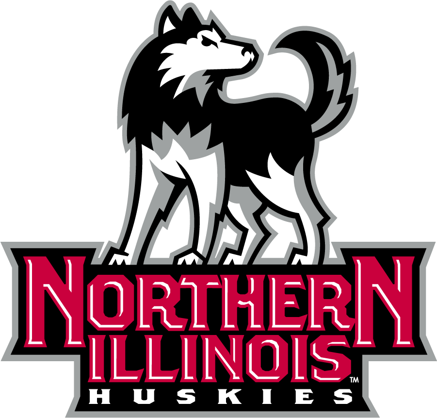 Northern Illinois Huskies 2001-2009 Alternate Logo diy iron on heat transfer